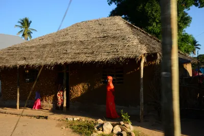 DSC_8200 (Large).JPG